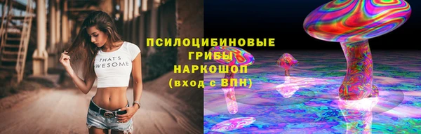 альфа пвп Горнозаводск