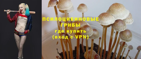 альфа пвп Горнозаводск