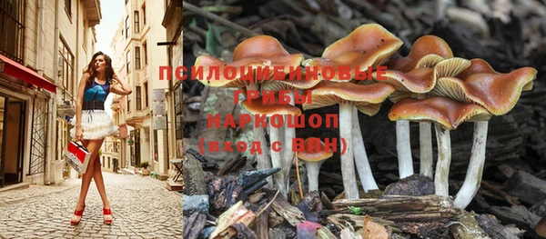 альфа пвп Горнозаводск