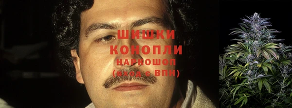 a pvp Горняк