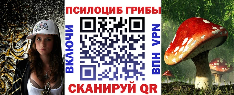 наркотики  Железногорск  Псилоцибиновые грибы GOLDEN TEACHER 